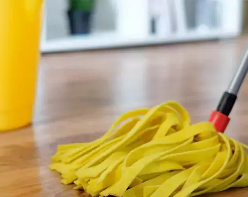 Vinyl care | Legend Flooring